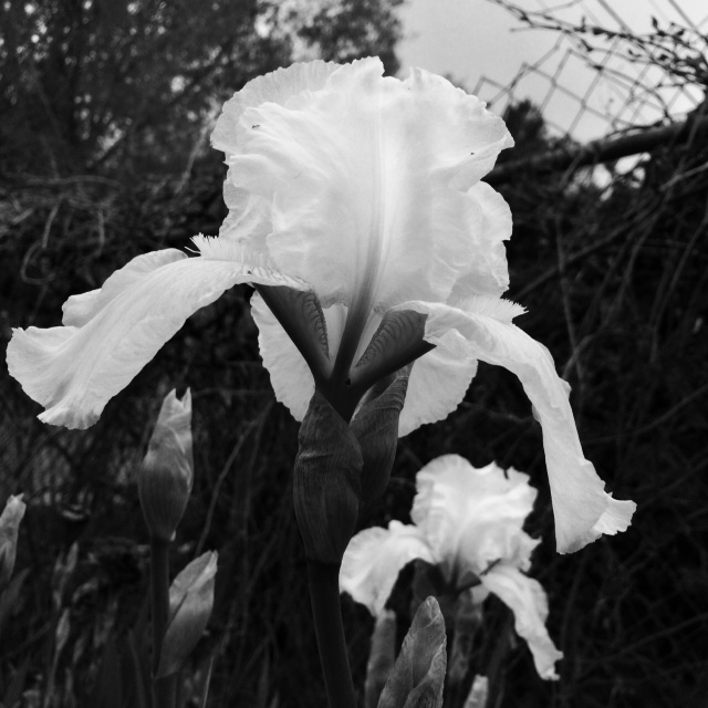 Stacks Image 505